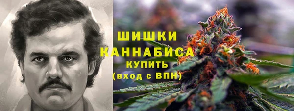 дмт Володарск